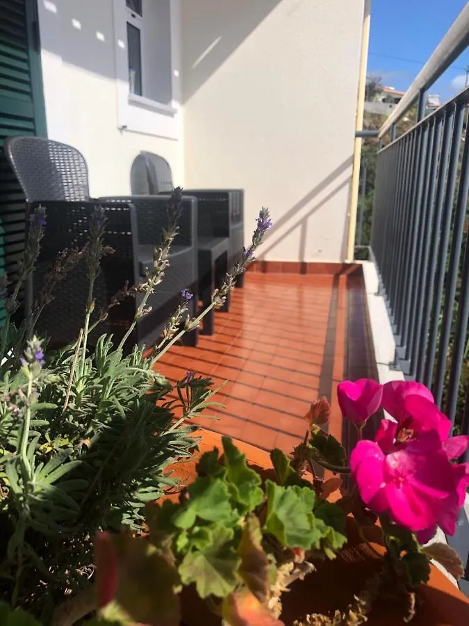 Sunshine Room Gaula