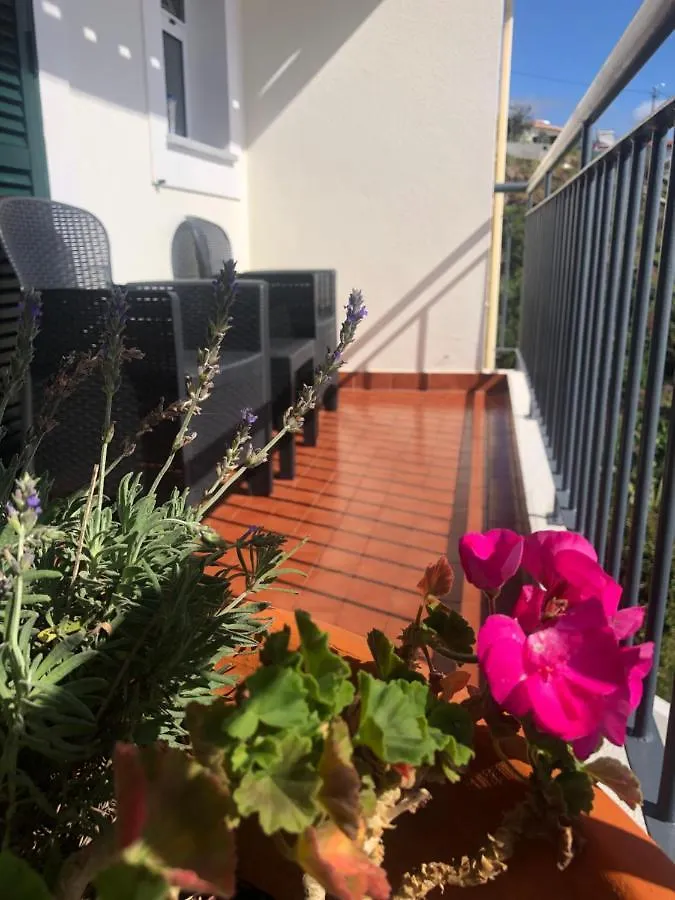 Sunshine Room Gaula Kwatera prywatna