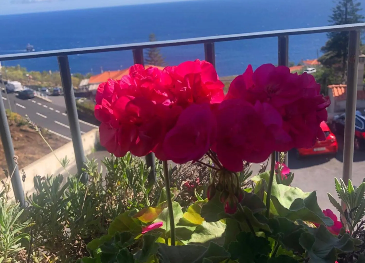 Sunshine Room Gaula Portugalia